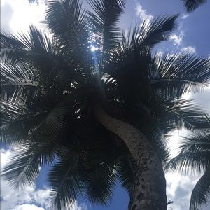 Meet your Posher, Sophia